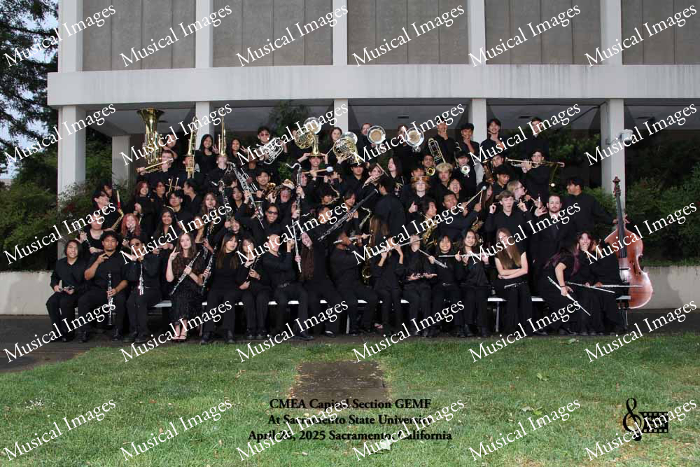 Musical Images